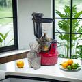 Home Juicer, Multifunctional Slow Juicer with Pulp and Juice Separation, Fully Automatic, Large Diameter, Fruit and Vegetable Juice Extractor