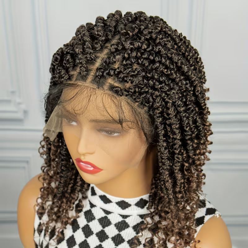 [Curly Braids Wig] Heat Resistant Curly Braids Wig - Beginners Friendly Synthetic Lace Wig For Women