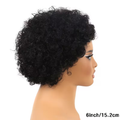 Short Afro Kinky Curly Wigs for Women Human Hair Curly Pixie Cut Wig Natural Black Color Glueless Short Afro Kinky Wig Brazilian Virgin Human Hair African Style Daily Party Wear Wigs