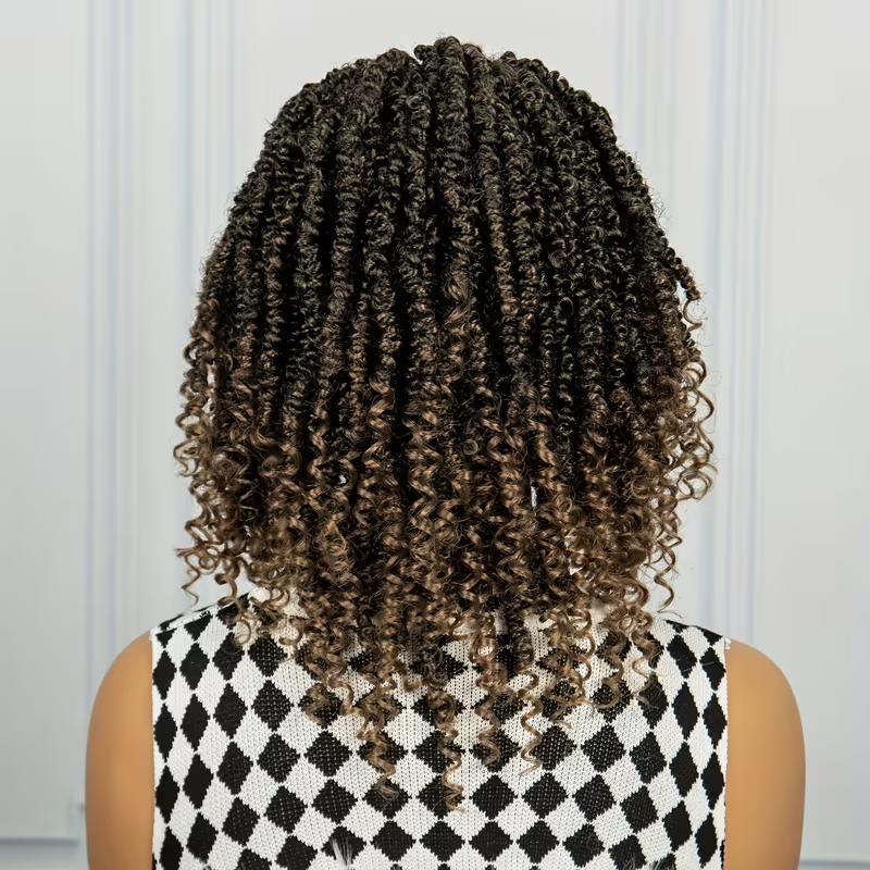 [Curly Braids Wig] Heat Resistant Curly Braids Wig - Beginners Friendly Synthetic Lace Wig For Women