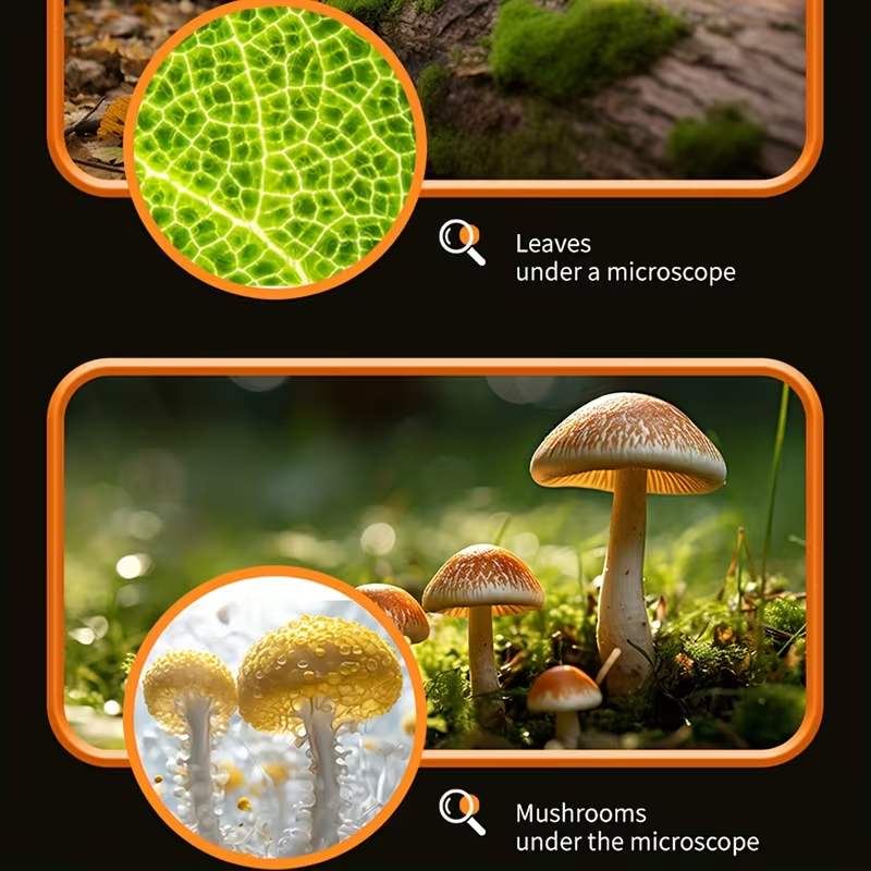 Portable Handheld Microscope Toy, with LED Light 50X-300X, Outdoor Indoor Nature Exploration Science Educational Toy, Holiday Gift