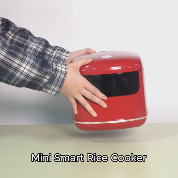 Compact 67.63oz Electric for Rice Cooker And Steamer, Ideal for Travel, Featuring a Multifunctional Design for Cooking for Rice, Porridge, And Soup. It Includes a 24-Hour Timer And a Keep-Warm Function, with a Nonstick Pot, Perfect for Dorms, Homes, Rvs
